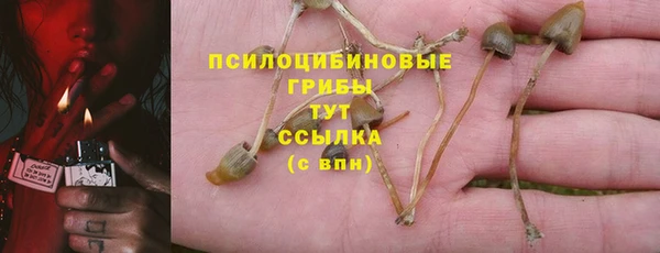 a pvp Горно-Алтайск