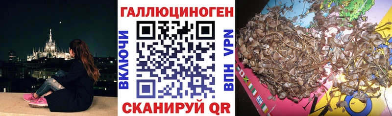 Псилоцибиновые грибы MAGIC MUSHROOMS  блэк спрут ТОР  Новошахтинск 