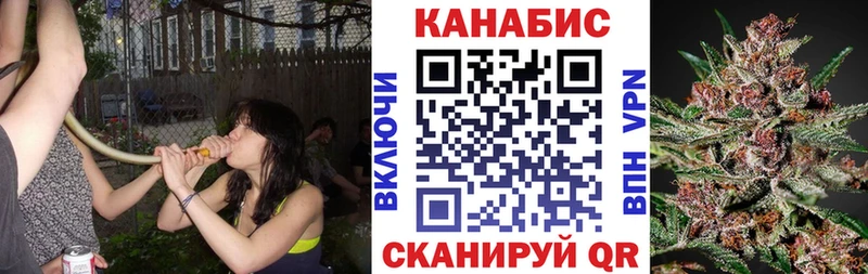 Конопля гибрид  Новошахтинск 